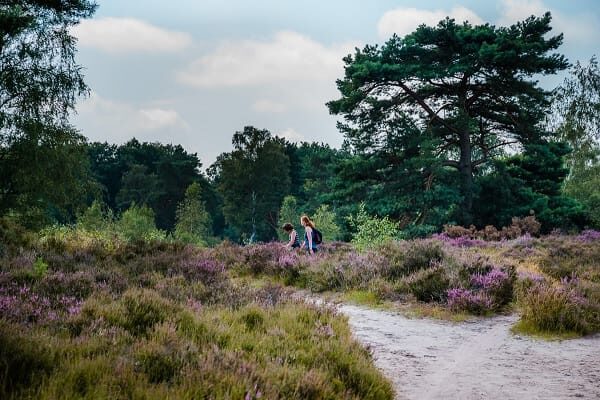 Nationaalparkregio De Meinweg