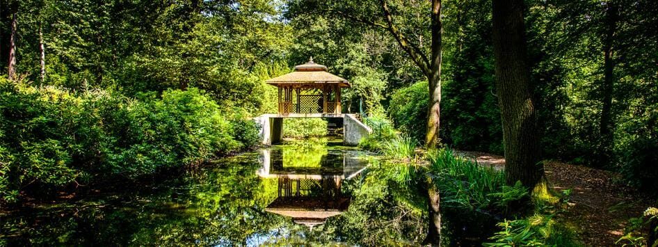 Natuur-in-vlodrop