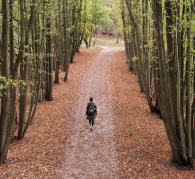 location-limburg