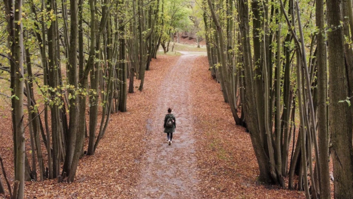 location-limburg